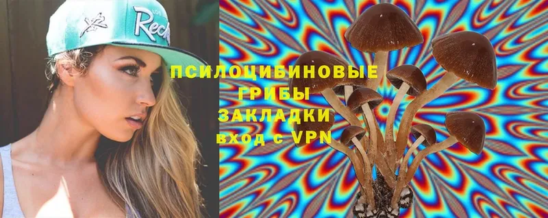 Галлюциногенные грибы MAGIC MUSHROOMS  как найти закладки  Мичуринск 